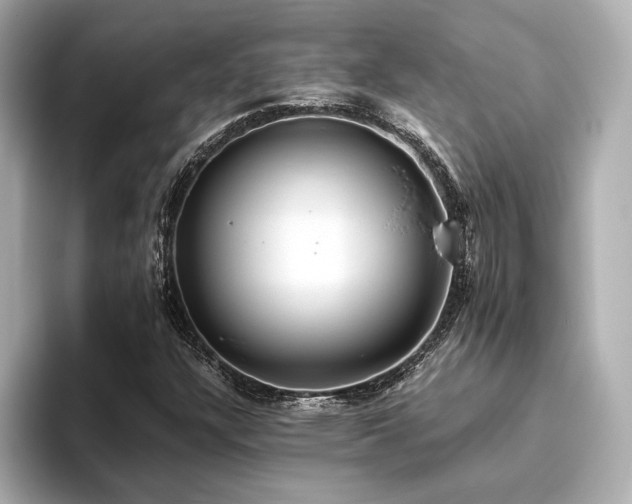 X0000093611304200710151232