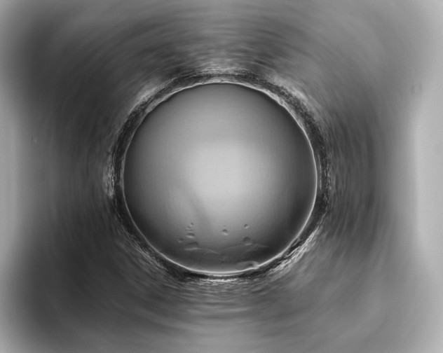 X0000093611306200710151232