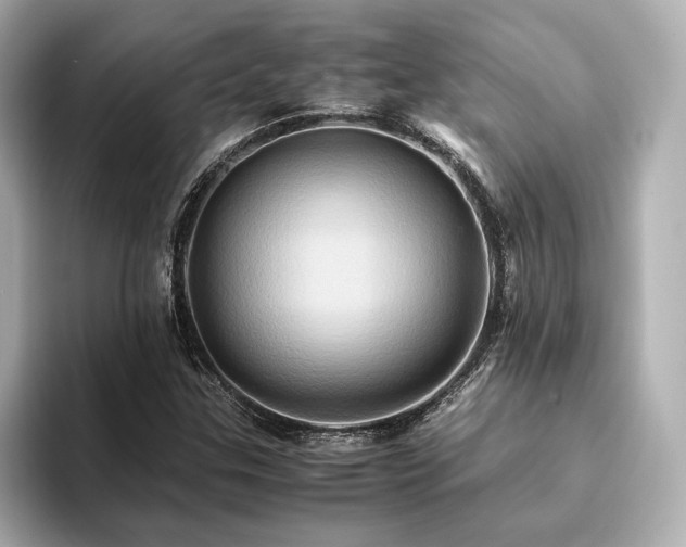 X0000093611307200710151232