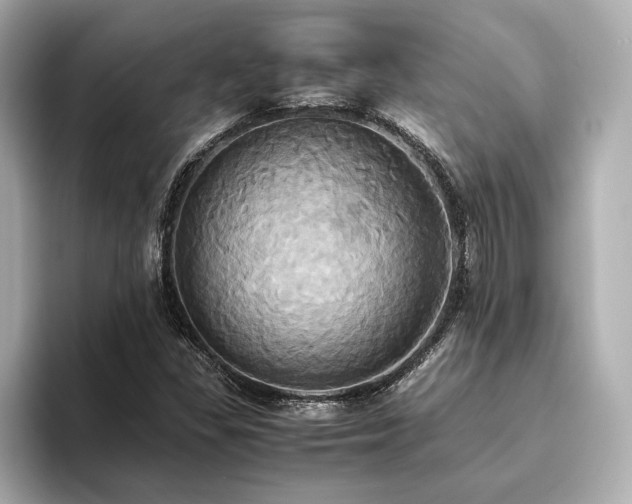 X0000093611309200710151232