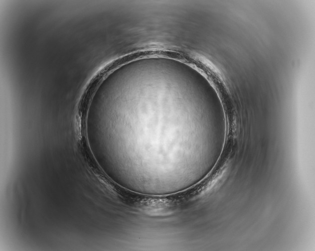 X0000093611310200710151232