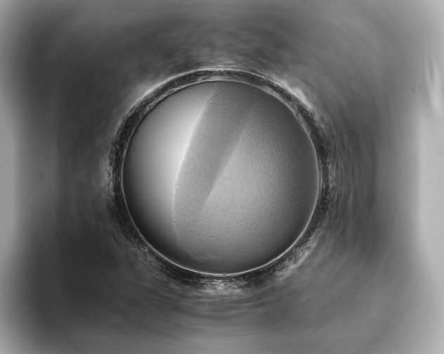 X0000093611311200710151232