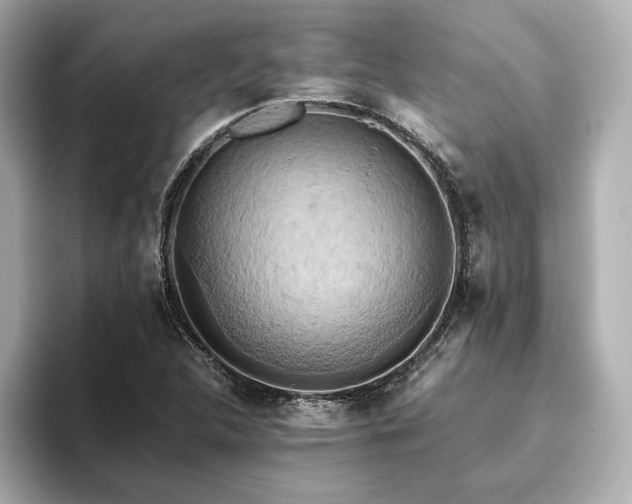 X0000093611312200710151232