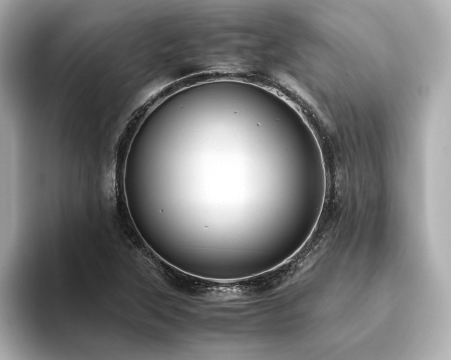 X0000093611315200710151232