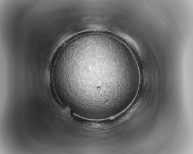 X0000093611318200710151232