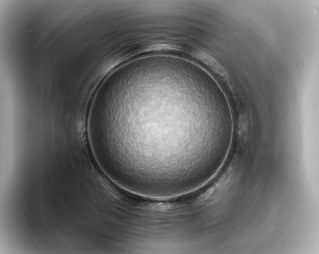 X0000093611321200710151232