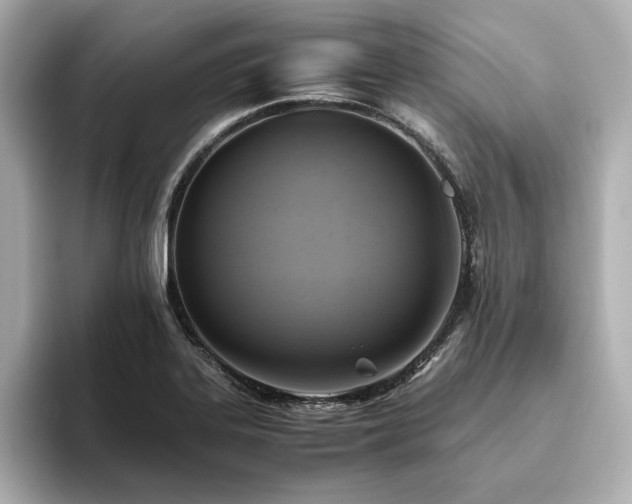 X0000093611323200710151232