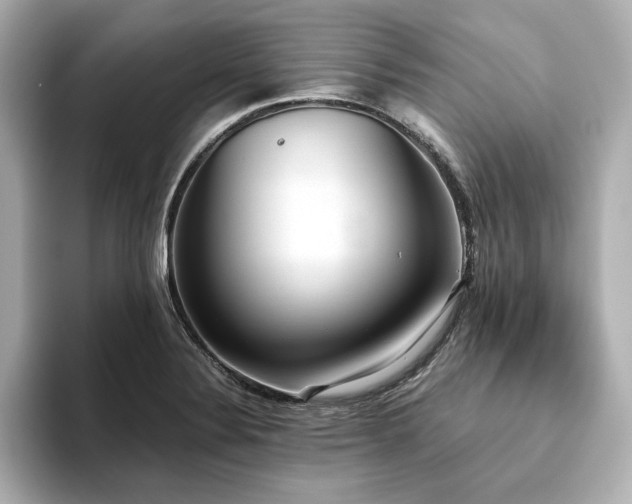 X0000093611324200710151232