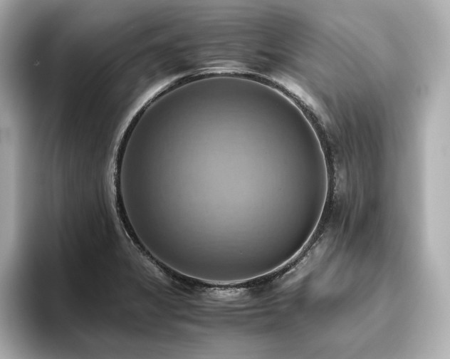 X0000093611325200710151232