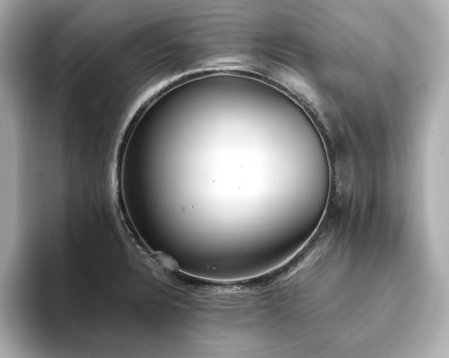X0000093611328200710151232