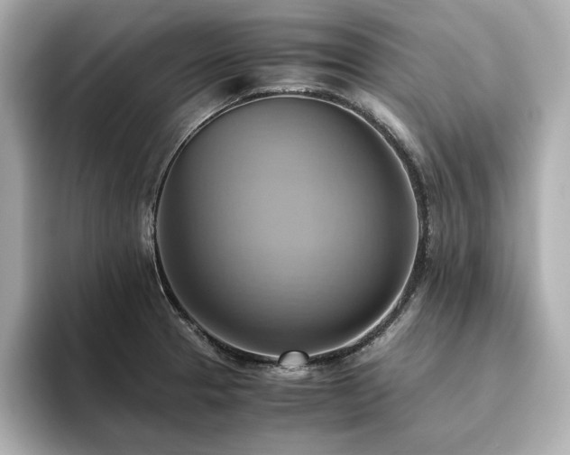 X0000093611329200710151232