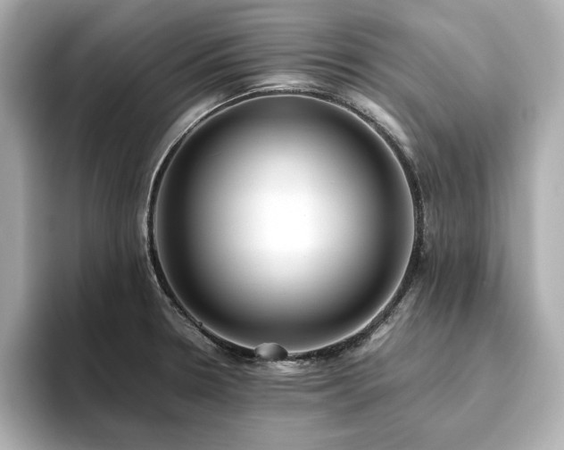 X0000093611330200710151232