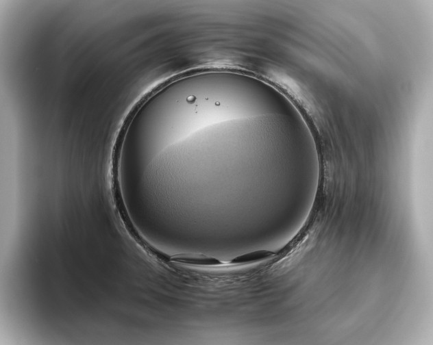 X0000093611331200710151232