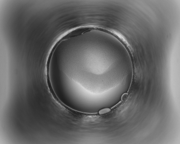 X0000093611335200710151232