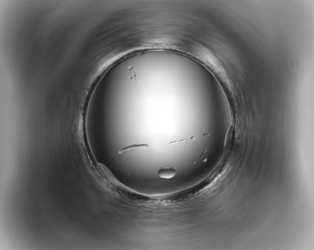 X0000093611336200710151232