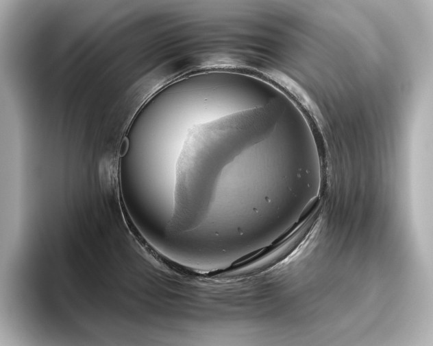 X0000093611337200710151232