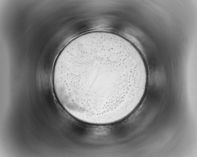X0000093611338200710151232