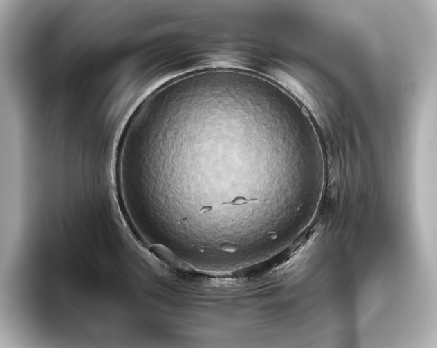 X0000093611339200710151232
