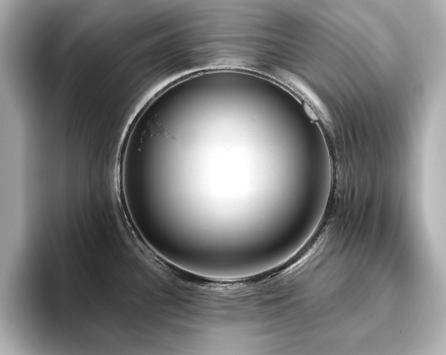 X0000093611340200710151232