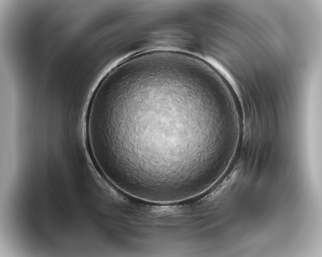 X0000093611341200710151232