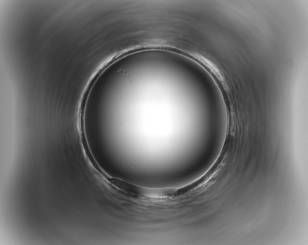 X0000093611342200710151232