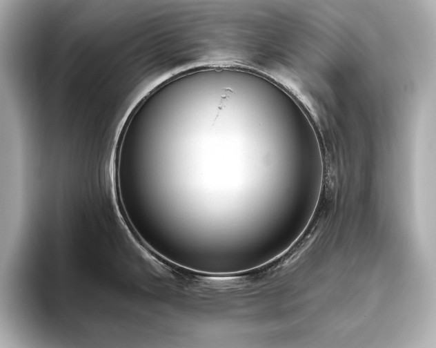 X0000093611343200710151232