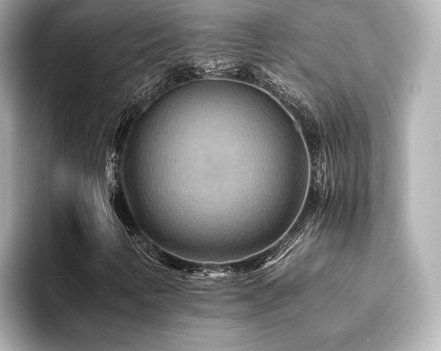 X0000093611346200710151232