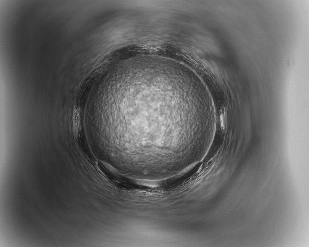 X0000093611347200710151232