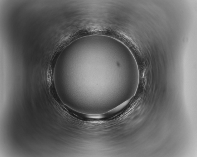 X0000093611348200710151232