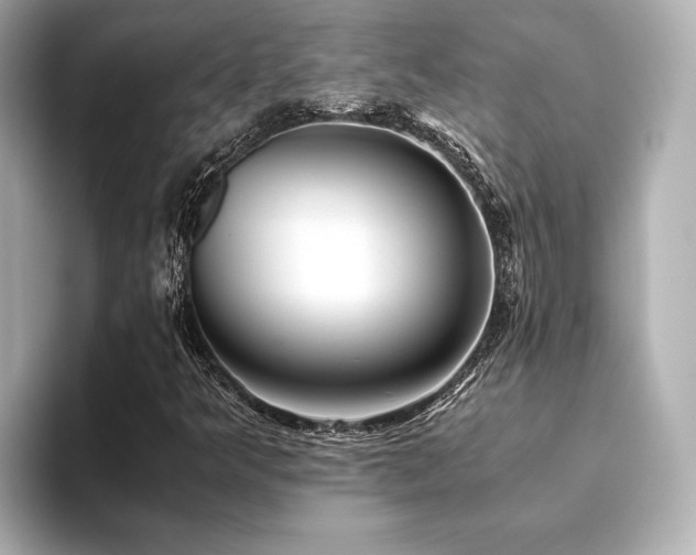 X0000093611349200710151232