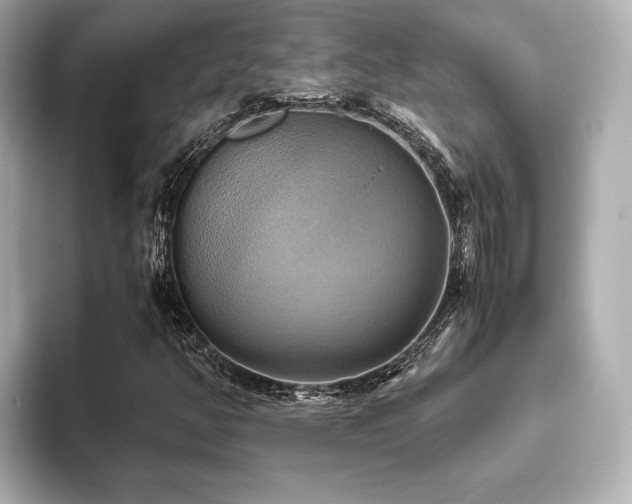 X0000093611350200710151232
