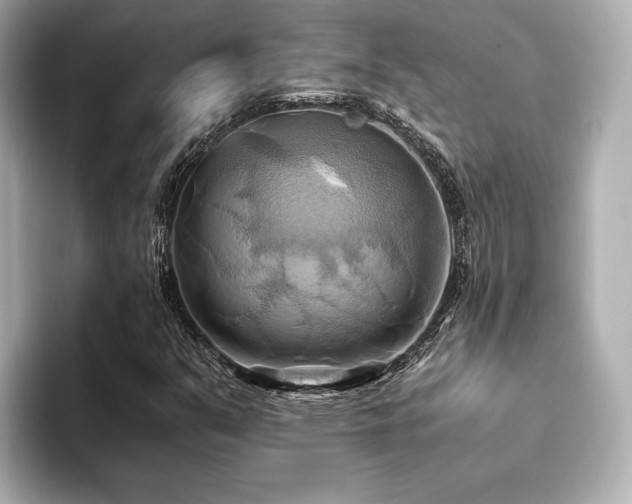 X0000093611351200710151231