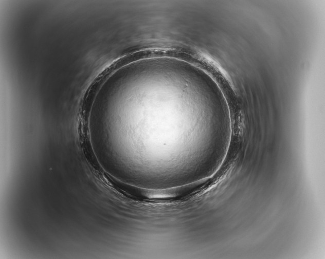 X0000093611352200710151231