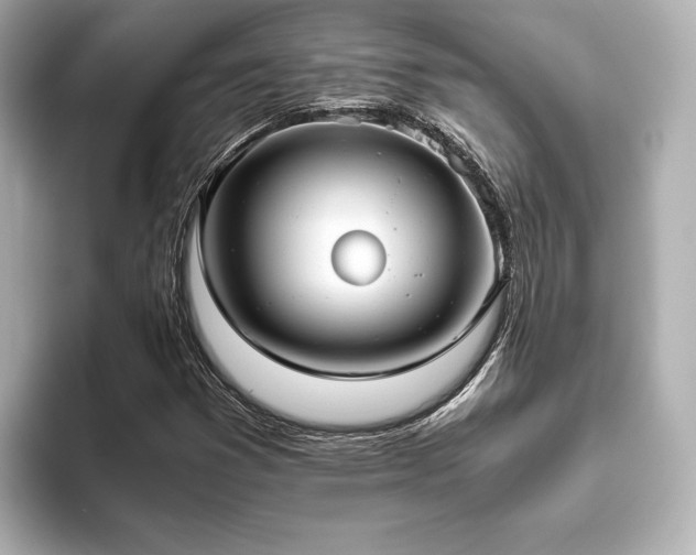 X0000093611353200710151231