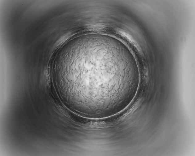 X0000093611354200710151231