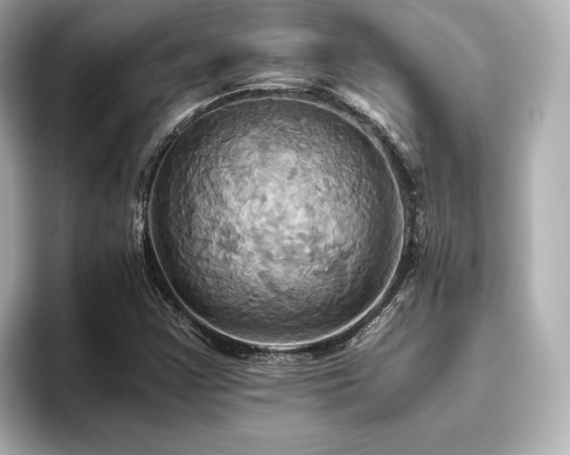X0000093611355200710151231