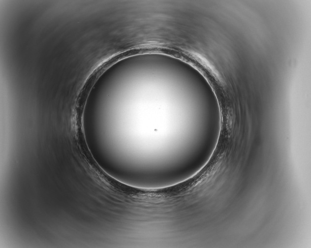 X0000093611356200710151231
