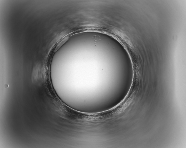 X0000093611357200710151231