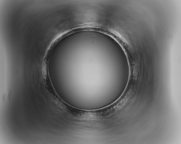 X0000093611358200710151231