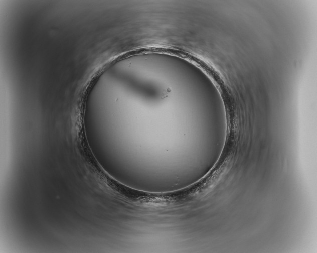 X0000093611359200710151231