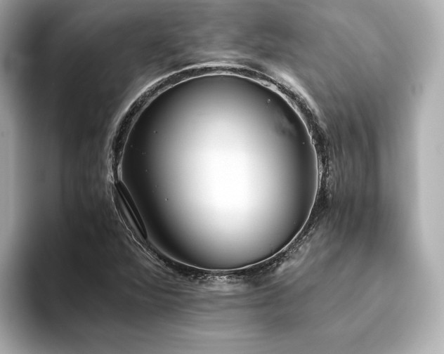 X0000093611360200710151231