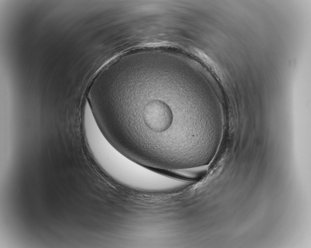 X0000093611361200710151231
