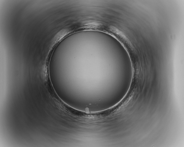 X0000093611362200710151231