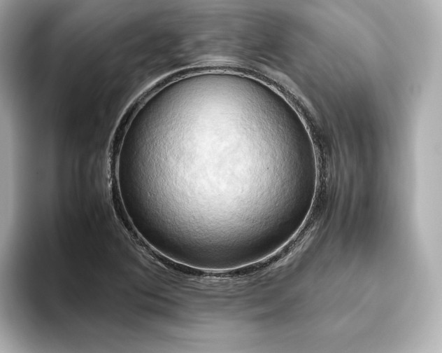 X0000093611364200710151231