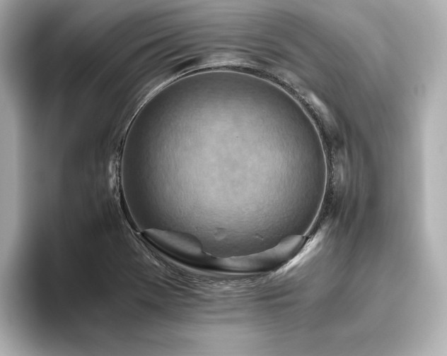 X0000093611369200710151231