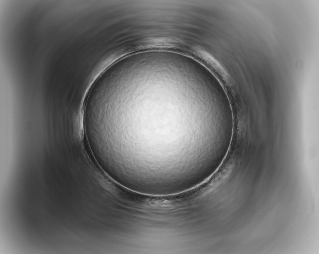 X0000093611370200710151231