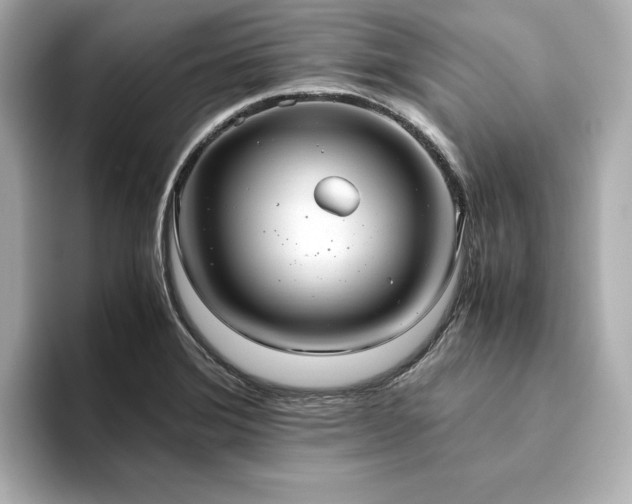 X0000093611372200710151231