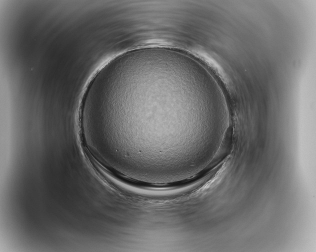 X0000093611373200710151231