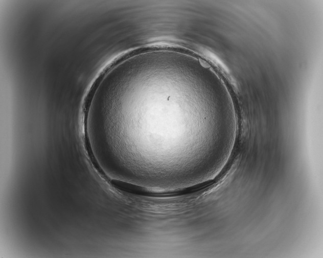 X0000093611376200710151231