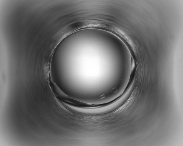 X0000093611377200710151231